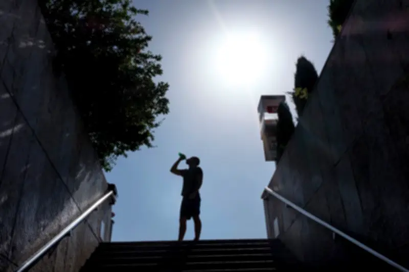 Canicule : effets catastrophiques après trois à quatre jours