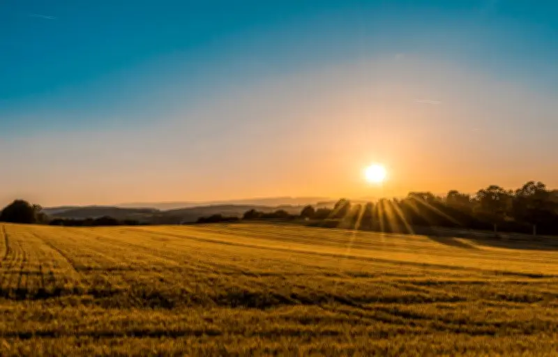 Canicule exceptionnelle : records de chaleur battus en France
