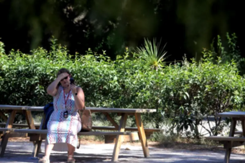 Canicule longue durée : effets cumulatifs sur la santé selon la science