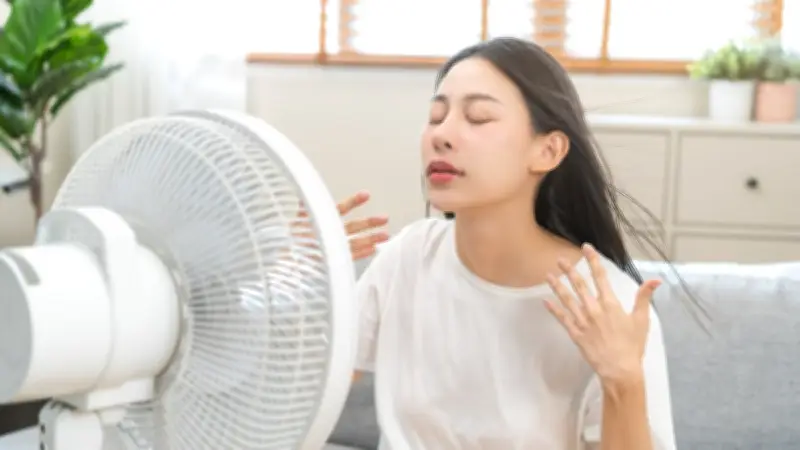 Canicule : pourquoi le ventilateur devient inefficace au-delà de 35 °C