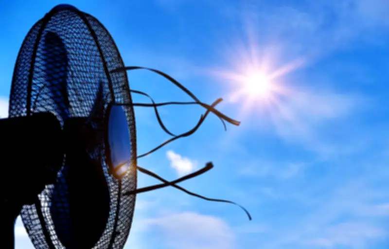 Canicule : prix des climatiseurs en hausse de 9% en un mois
