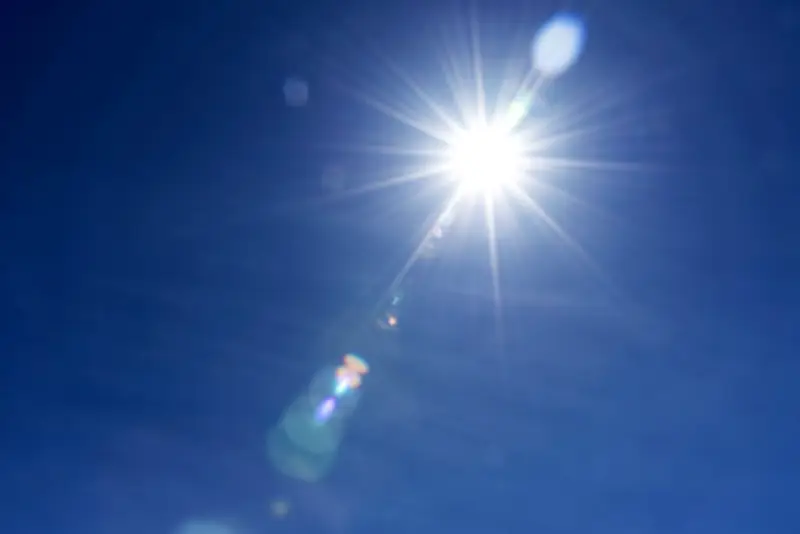 Canicule record en France : les Bleus gagnent, Trump à Versailles
