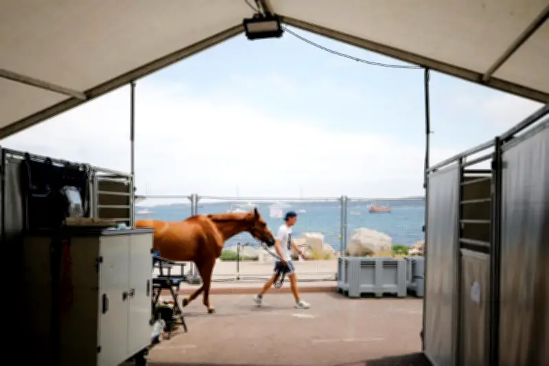 Cannes : le Jumping International transforme Pointe Croisette, entre joie et contraintes