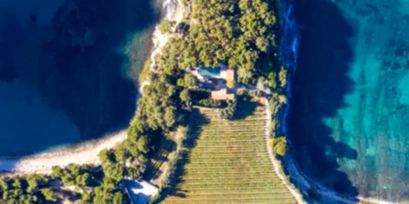 Cassis Grande Terre de Blancs fête 90 ans : l'appellation unique