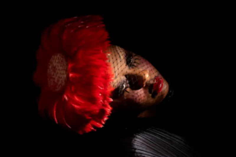 Cécile McLorin Salvant : chagrin glamour dans «With Every Breath I Take»