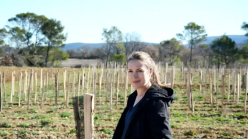 Chantier participatif pour aider une vigneronne en agroforesterie