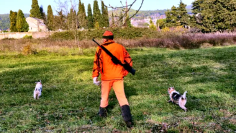 Chasse en Occitanie : ouverture sous tension et défiance
