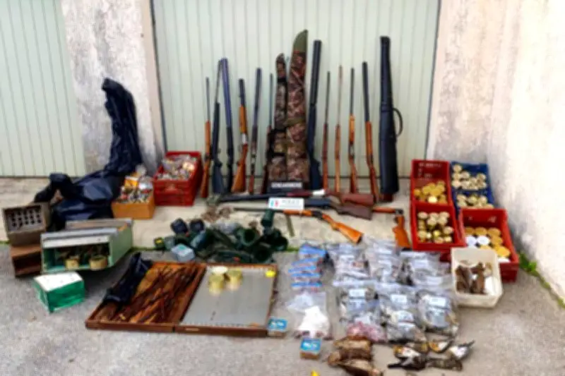 Chasseur à la glu condamné pour braconnage de 600 grives dans le Var