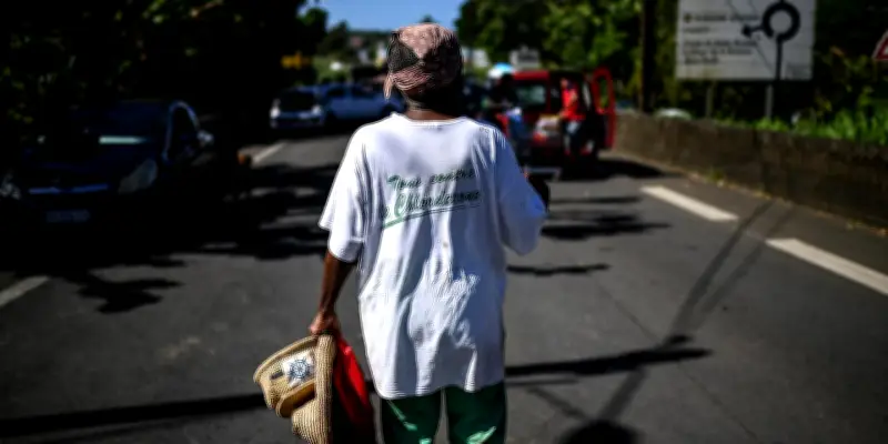 Chlordécone : la cour d'appel confirme le non-lieu