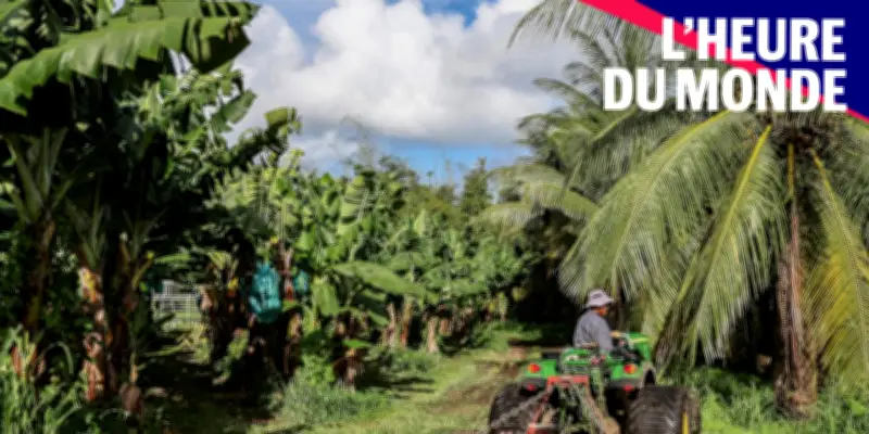 Chlordécone : qui est responsable de l'empoisonnement des Antilles ?
