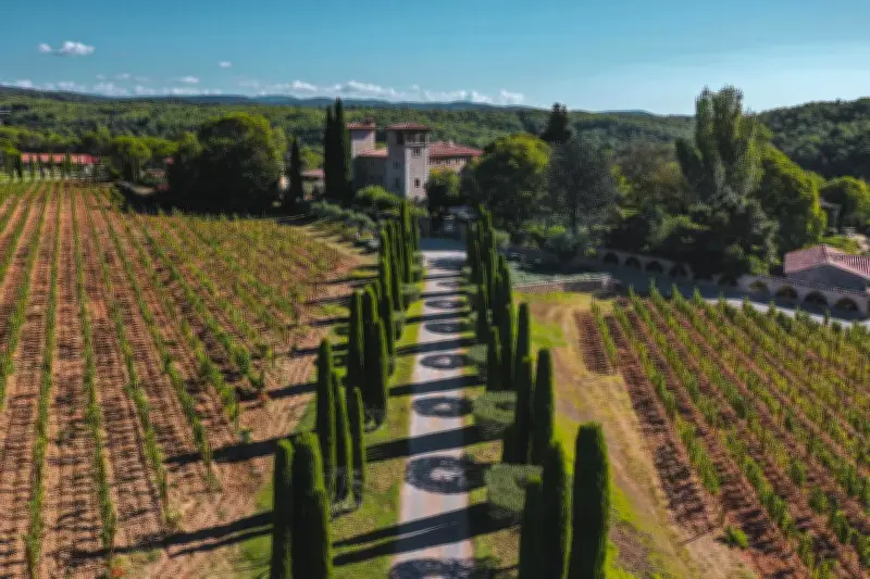 Château de Berne : parenthèse provençale entre vignes et gastronomie