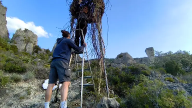 Cirque de Mourèze : méduses et poissons réapparaissent au cœur des dolomies