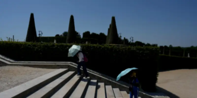 Conférence nationale du handicap reportée à cause de la canicule