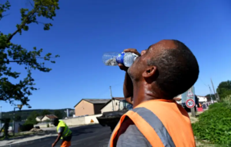 Congé climatique : les Écologistes lancent une pétition pour 5 jours payés par an
