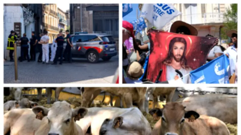 Coups de feu à Agde, Marche pour Jésus à Montpellier, vaches à Nîmes : l'essentiel du 6 juin