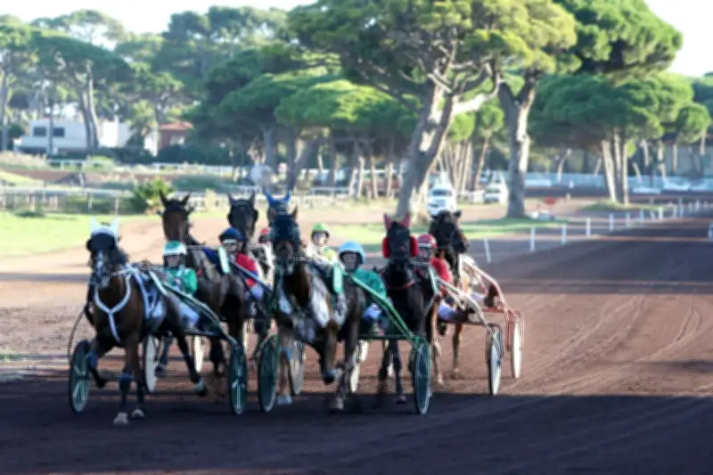 Course hippique délocalisée de Cavaillon à Hyères après occupation des gens du voyage
