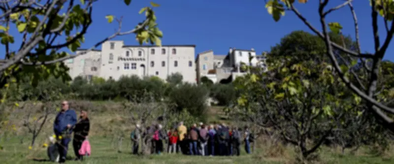 Cévennes : collecte de sang, fauchage et apéro vigneron