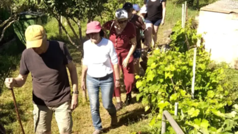 Découverte du verger collectif : écoliers et adultes à Montlaur