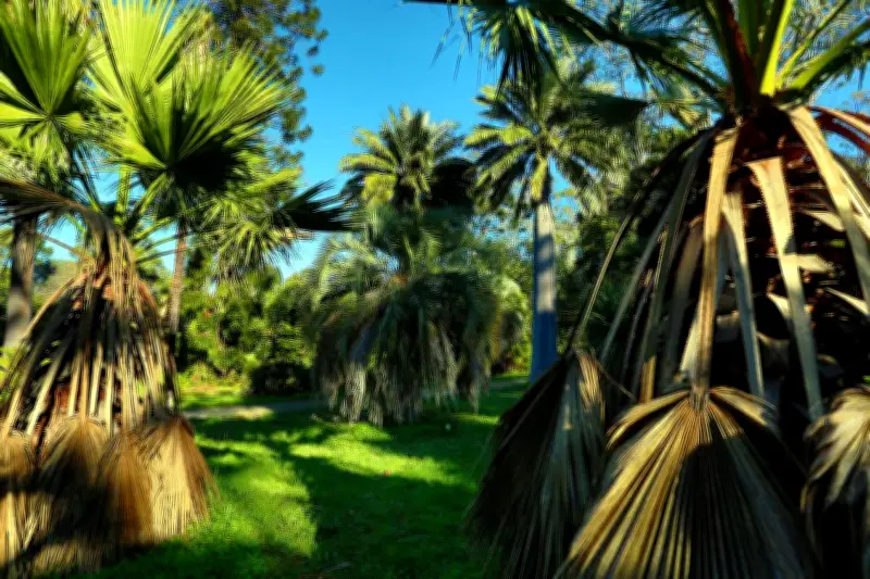 Découvrir le jardin Thuret d'Antibes les yeux bandés : une expérience sensorielle unique