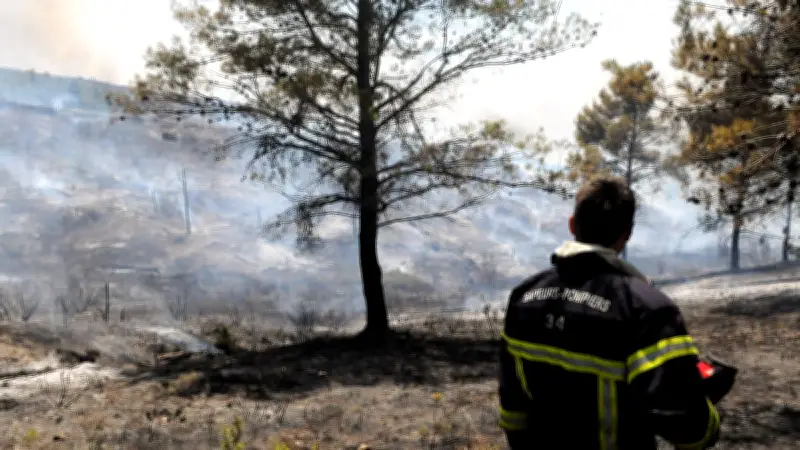 Démonstration choc : un mégot enflamme une forêt en moins d'une minute