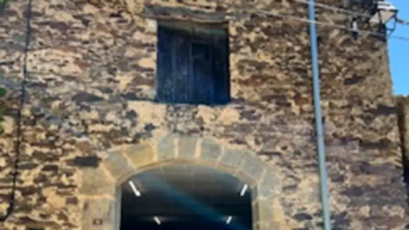 Domaine Boria Bissio : une viticulture holistique à Taussac-la-Billière