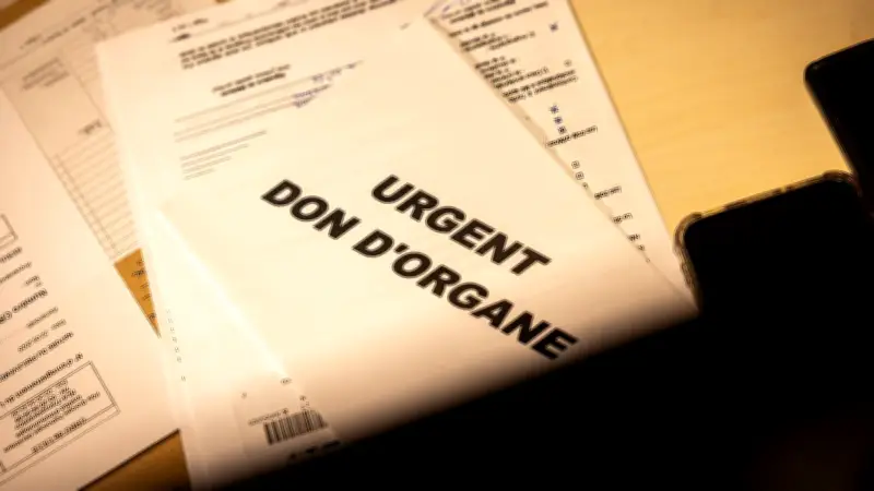 Don d'organes : témoignages poignants de donneurs, receveurs et patients en attente