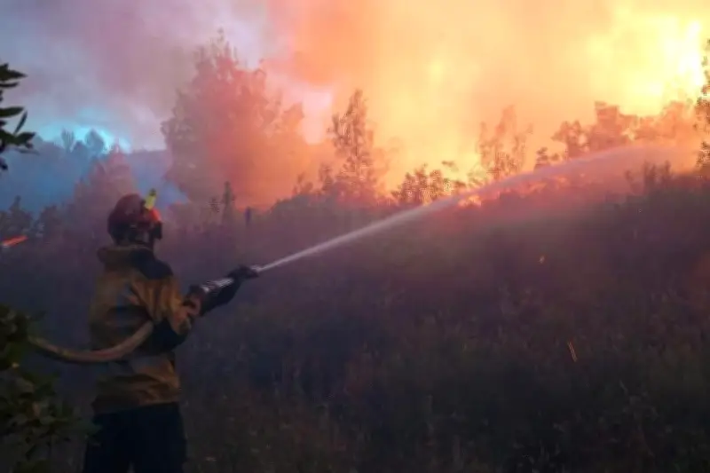Double incendie dans l'arrière-pays grassois : deux feux maîtrisés par les pompiers