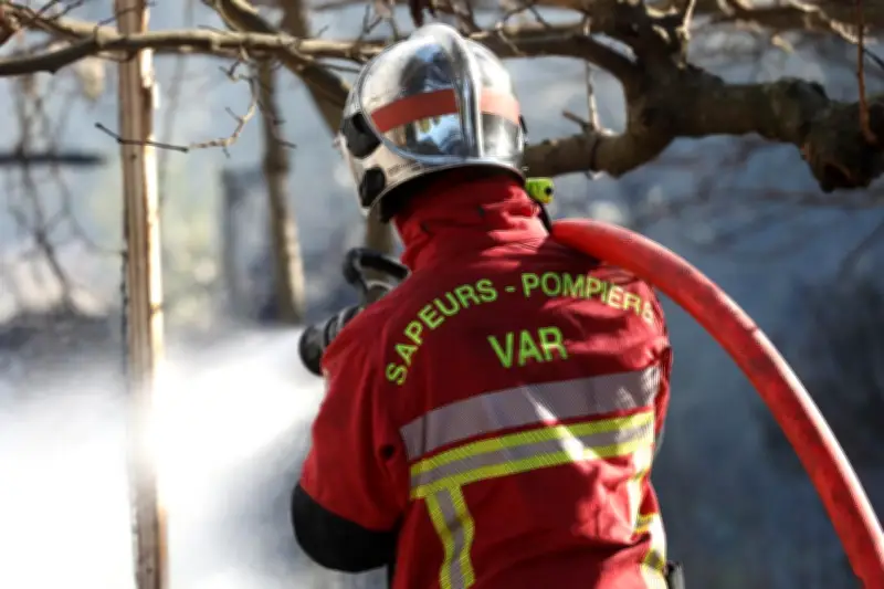Double incendie sur l'A8 à Tanneron : 6000 m² brûlés, 45 pompiers mobilisés
