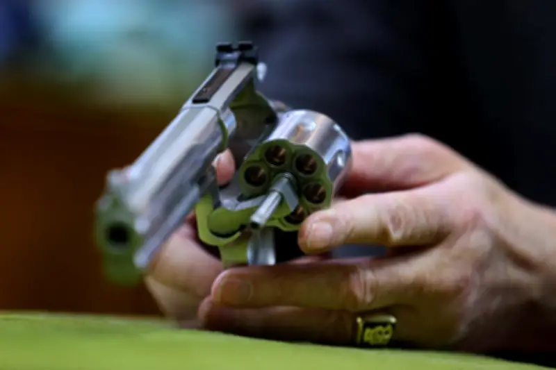 Draguignan : un père de famille achète un 357 Magnum pour se défendre
