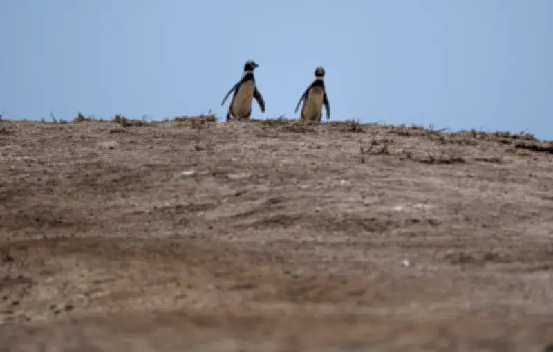 El Niño 2023 : un phénomène potentiellement « sans précédent »