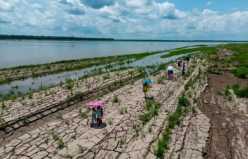 El Niño 2026 : 80% de chances d'un épisode modéré à fort selon l'OMM