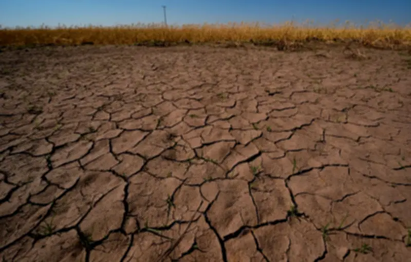 El Niño : 80% de chances pour 2026, l'OMM alerte sur les conséquences