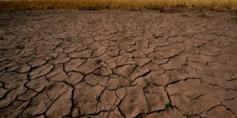 El Niño a commencé : réchauffement du Pacifique équatorial