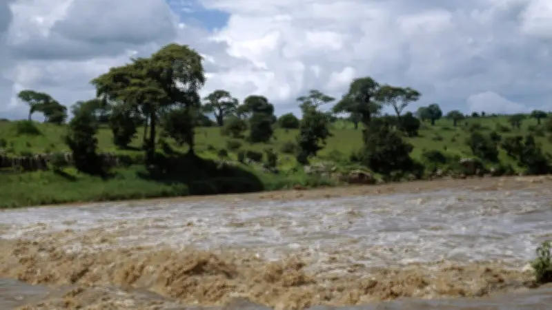 El Niño officiellement lancé : 63% de chances d'un épisode historique