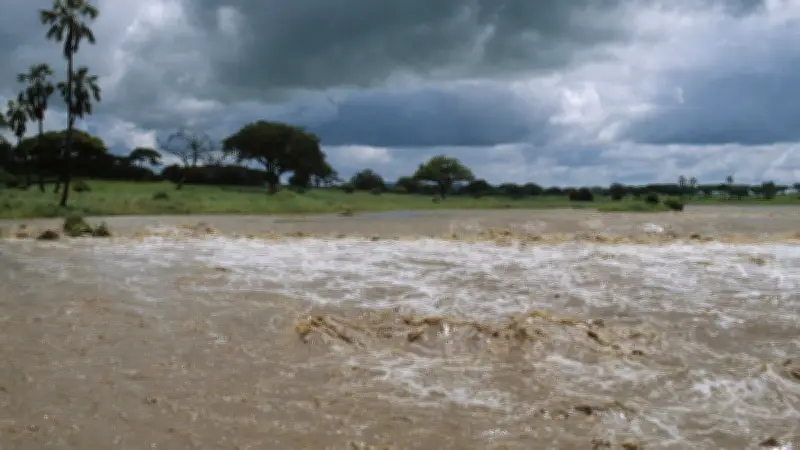 El Niño probable à 80% cet été : l'ONU alerte sur des événements météo extrêmes