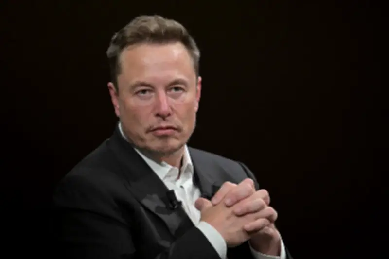 Elon Musk loue la puissance de calcul de Google à Anthropic