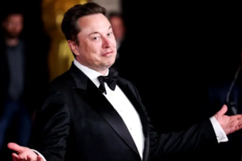 Elon Musk : premier billionnaire de l'histoire ? L'analyse d'un historien