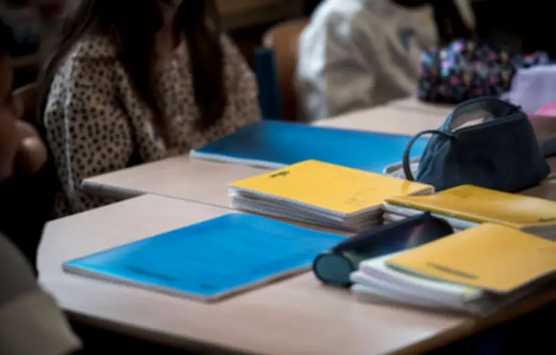 Enseignement supérieur lucratif : des faillites à venir selon un rapport d'inspection