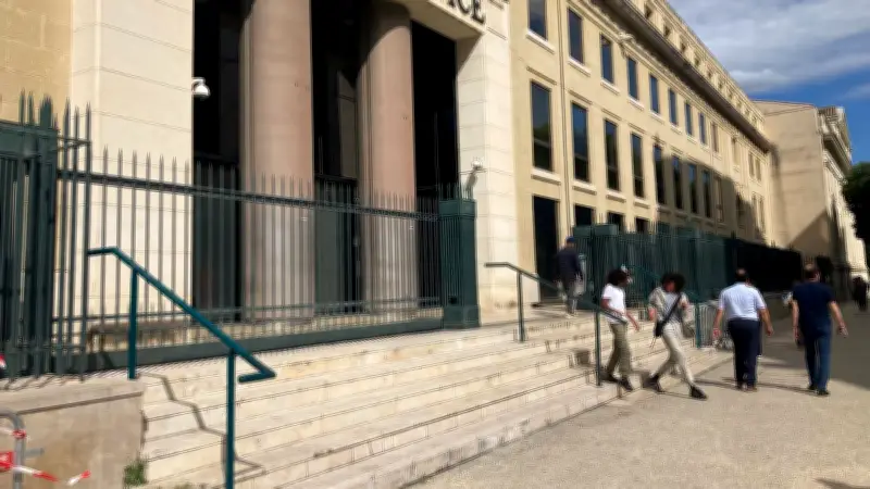 Escroquerie aux chats : une femme condamnée pour vol à un octogénaire