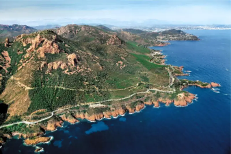 Estérel : une réserve biologique intégrale de 2 000 hectares en projet