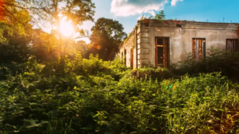 Exproprié pour terrain négligé, un retraité devient SDF à Sotteville-lès-Rouen