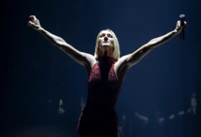 Fans de Céline Dion prêts à tout pour ses concerts : récits