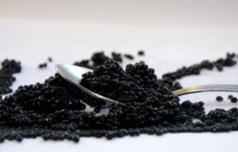 Fast-food chic : Beau ouvre à Paris avec des nuggets au caviar à 75 €