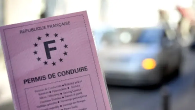 Faux permis de conduire à Montpellier : un Algérien sous OQTF interpellé
