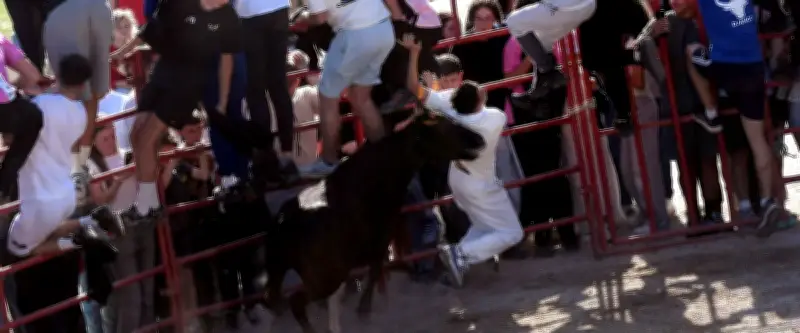 Feria d'Alès : un jeune condamné pour violences sur des policiers