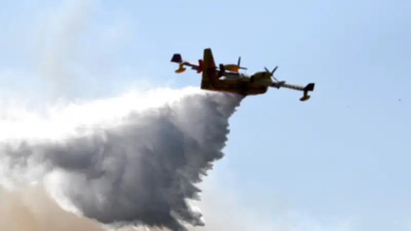Feu de chaumes et pinède à Teyran : quatre Canadairs déployés