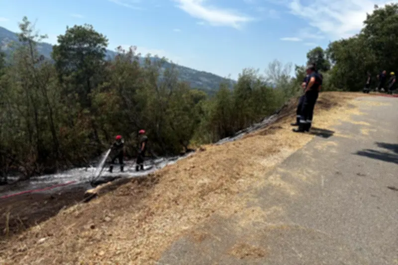 Feu de forêt à Pégomas : 400 m² brûlés, hélicoptère mobilisé