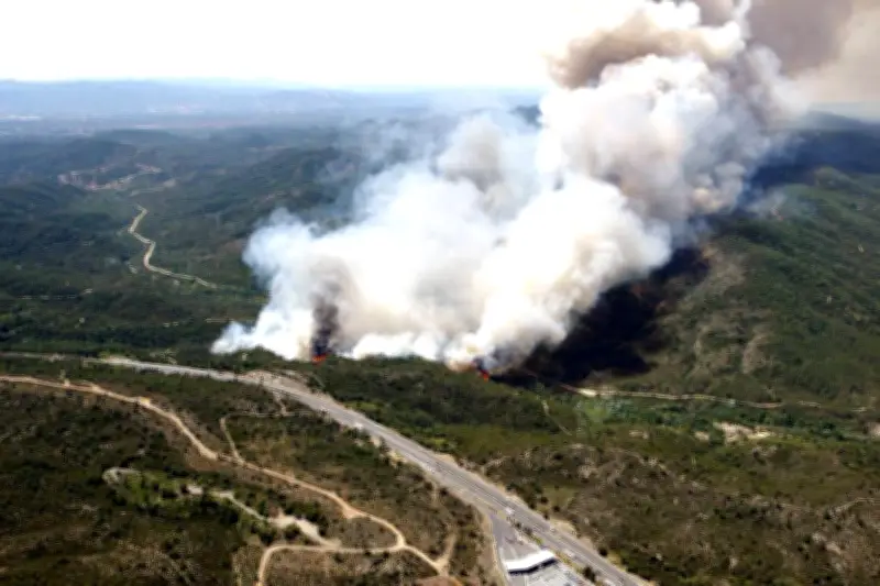 Feu de végétation sur l'A8 près des Adrets-de-l'Estérel, circulation perturbée