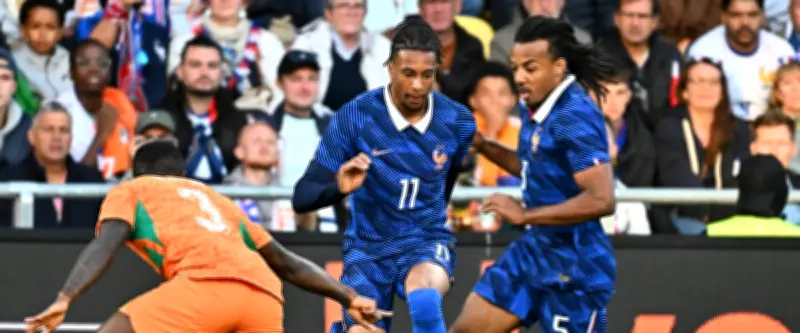 France-Irlande du Nord : dernier test pour les Bleus avant le Mondial