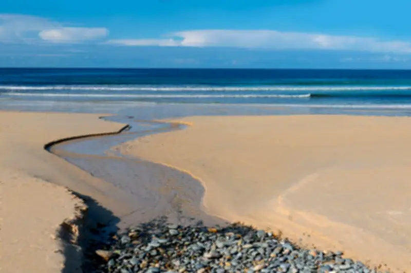 France : trois nouveaux sanctuaires marins de la Bretagne à la Guadeloupe